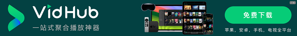 VidHub 背景